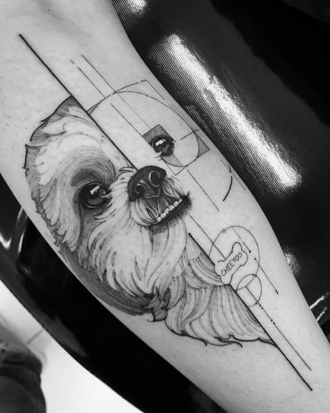 24 Pretty Tattoo Ideas For True Shih Tzu Fans | The Dogman Shihtzu Tattoos, Shih Tzu Maltese Mix, Baby Shih Tzu, Small Dog Tattoos, Puppy Haircut, Perro Shih Tzu, Chien Shih Tzu, Maltese Shih Tzu, Shih Tzu Puppy