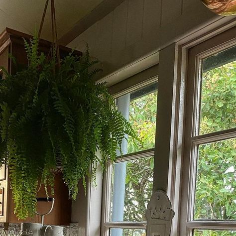 Snake Activity, Kitchen View, Instagram Kitchen, Cups Of Tea, Happy Week, House Vintage, Kitchen Views, Country Cottage, Country Style