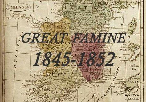 Irish potato famine Irish Potato Farls Recipe, Irish Clans Map, Irish History Aesthetic, Potato Famine Ireland, Irish History Facts, Potato Famine, Irish Famine, Irish Potatoes, Ireland History