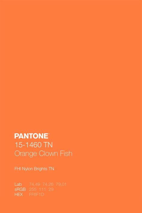 Neon Orange Hex Code, Neon Orange Palette, Bright Orange Palette, Neon Orange Color Palette, Orange Pantone, Pantone Color Guide, Purple Colour Shades, Kidswear Fashion, Fish Color