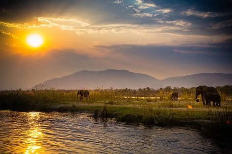 What Is the Source of the Zambezi River? - WorldAtlas Zambia Safari, Zambezi River, Victoria Falls, Best Sunset, National Parks Trip, Tourist Places, Romantic Travel, The Source, Zambia