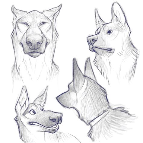 Stylized Drawing, Dog Caricature, Dog Design Art, Dog Expressions, Canine Drawing, Animal Caricature, Dog Anatomy, Animal Ideas, Dog Sketch