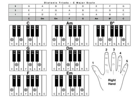 Diatonic Chords, Chords Piano, Piano Chords Chart, Piano Lessons For Beginners, Music Theory Lessons, Major Scale, E Major, G Major, Learn Faster