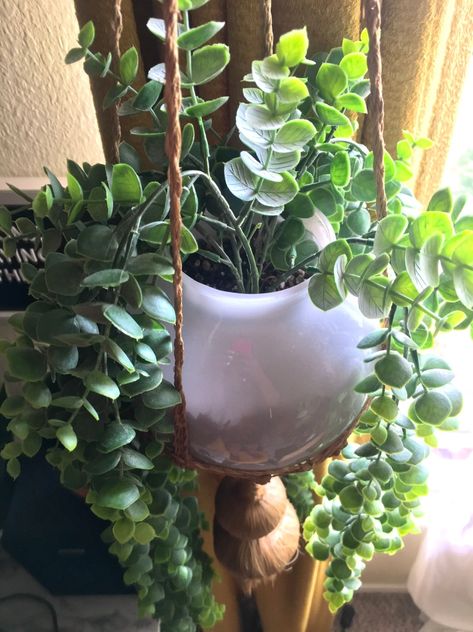 DIY: Globe Hanging Planter Diy Globe, Globe Planter, Hanging Globes, Glass Light Globes, Old Ceiling, Glass Light Covers, Old Globe, Hanging Planter, Real Plants