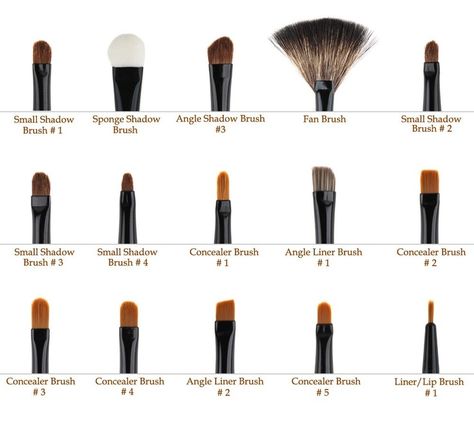 Brushology. Will be needing this this summer! Sephora Brushes, Affordable Makeup Brushes, Brush Guide, Lipstick Brush, Makeup Brushes Guide, Best Makeup Brushes, Makeup Brush Set Professional, Eye Makeup Brushes, Affordable Makeup