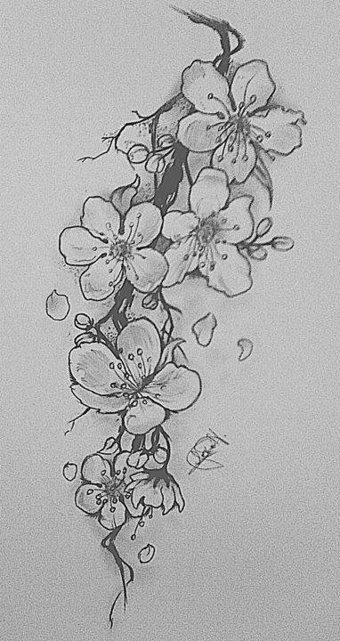 White Cherry Blossom Tattoo, Black And White Cherry Blossom, Thighs Tattoo, Kunst Tattoos, Tattoo Flowers, White Cherry Blossom, Blossom Tattoo, Cherry Blossom Tattoo, Flower Sketches