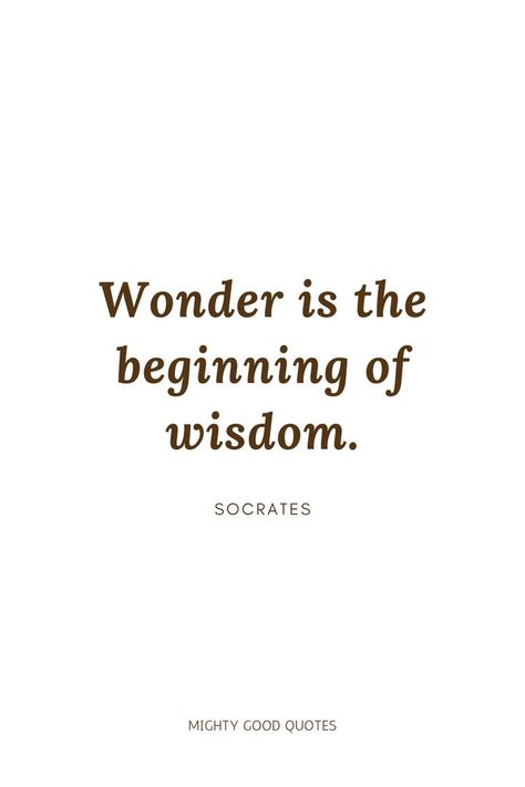 Sociology Quotes Inspiration, Quotes On Curiosity, Curiosity Quotes Inspirational, Quotes About Curiosity, Socrates Quotes Wisdom, Socrates Quotes Philosophy, Chapter Starters, Intellectual Quotes Philosophy, Sage Quotes