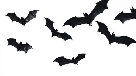 Black bat silhouettes flying across a white background Bats Silhouette, Bat Silhouette, Black Bat, Graveyard, A White Background, Minimalist Art, Graphic Resources, White Background, Bat