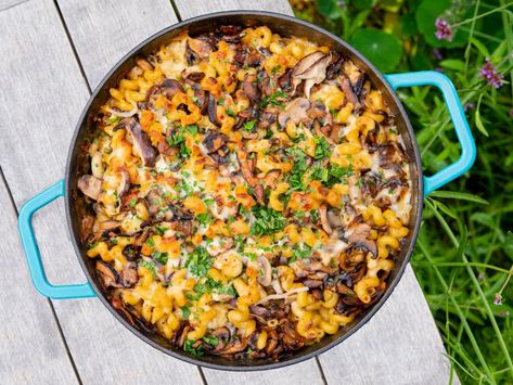 Marsala and Mushroom Pasta Bake Recipe | Michael Symon | Food Network Michael Symon Recipes, Marsala Pasta, Mushroom Pasta Bake, Marsala Mushrooms, Creamy Cheesy Pasta, Cheesy Pasta Bake, Marsala Sauce, Pasta Bake Recipe, Michael Symon