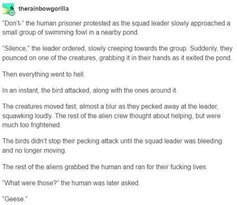 Humans Are Space Orcs, Tumblr Aliens, Terrifying Creatures, Alien Human, Space Orcs, Space Australia, Pure Evil, Aliens Funny, Alien Invasion