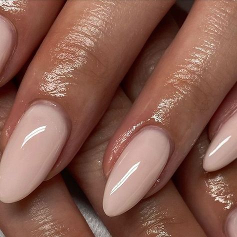 Neutral Oval Nails Classy, Biab Natural Nails, Nude Biab Nails, Almond Biab Nails, Natural Biab Nails, Dreamer Biab, Milky Nude Nails, Milky Pink Almond Nails, Biogel Nails