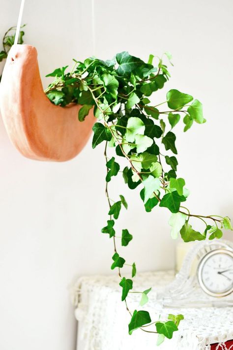 Diy Crescent Moon, Planter Macrame, Moon Hanging, Clay Planter, Diy Hanging Planter, Plants Diy, Hanging Herbs, Macrame Hanging Planter, Geometric Planter