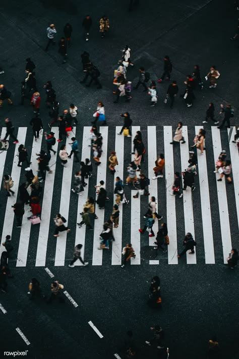 Pedestrians crossing a crosswalk in Shibuya, Japan | premium image by rawpixel.com / Luke Stackpoole Class Goals, Photos On Wall, Zebra Cross, Shibuya Japan, Kiyomizu Temple, Pedestrian Walk, Church Marketing, Transparent Umbrella, Pedestrian Crossing