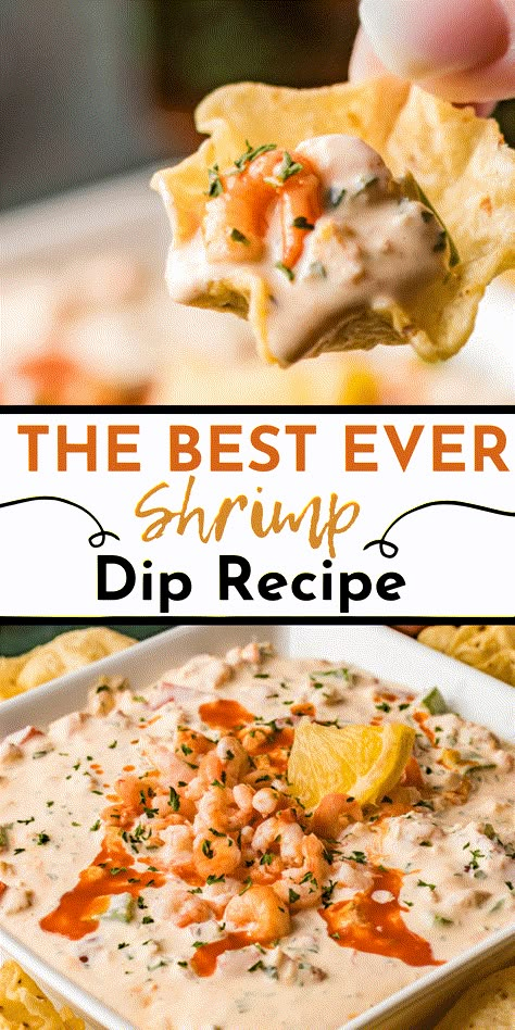 Spicy Shrimp Dip is a creamy dip bursting with flavors from four cheeses, spicy cajun shrimp, and fresh vegetables. This bold and flavorful dip is perfect for parties, family night, or just a snack for seafood lovers! No one will be able to resist this spicy starter Spicy Shrimp Dip Recipes, Ruby Tuesday Shrimp Fondue, Spicy Shrimp Dip, Shrimp Dips, Cajun Shrimp Dip, Spicy Cajun Shrimp, Shrimp Dip Recipe, Shrimp Dip Recipes, Seafood Dip