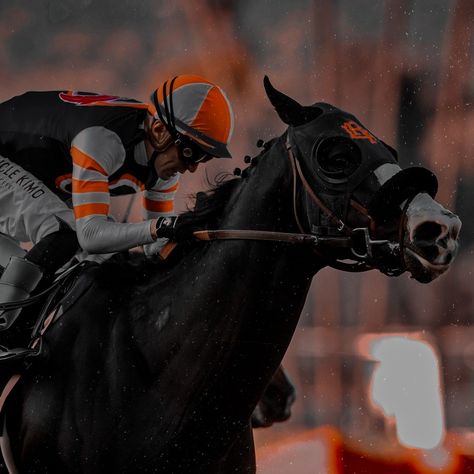 Horse Racing Aesthetic, Jockey Aesthetic, Racing Aesthetic, Aesthetic Horse, Horse Art Drawing, Iphone Widgets, Equestrian Aesthetic, Future Vision, Sport Of Kings