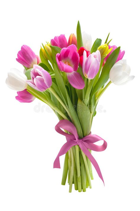 Flower Bouquet Png, Photo Bouquet, Spring Equinox, Spring Tulips, E Card, Tulips Flowers, Nature Photographs, Nature Images, Flower Photos