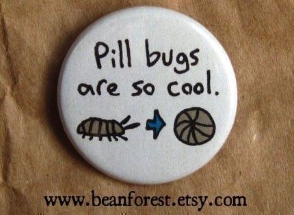 pill bugs are so cool  pinback button badge by beanforest on Etsy,      We call them Rolly Pollys! Badge Ideas Design, Pill Bugs, Pill Bug, Cool Bugs, Cool Pins, Button Badge, Pinback Button, Love Bugs, A Button