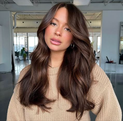 Chocolate Brown Hair Color With Highlights Caramel, Rich Chocolate Brown Hair With Dimension, Dimension Balayage, Rich Brown Hair, Rambut Brunette, Mekap Mata, 20 Makeup, Thick Hair Cuts, Hair Color Chocolate