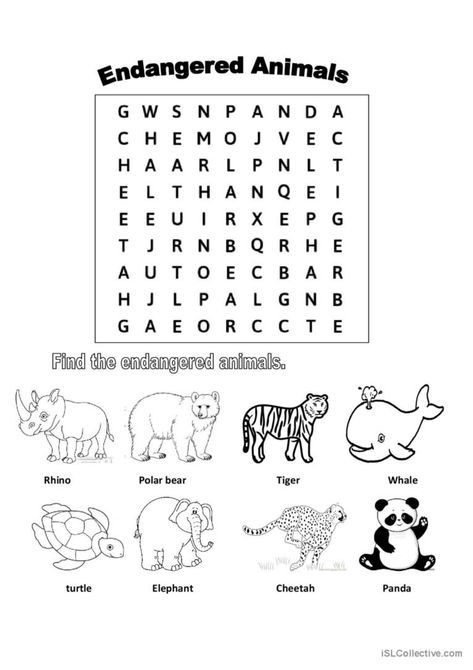 Endangered Species Activities, Endangered Animals Activities, Teaching Adjectives, Animals Worksheet, Animal Worksheets, Animal Conservation, Africa Animals, Teacher Lessons, School Things