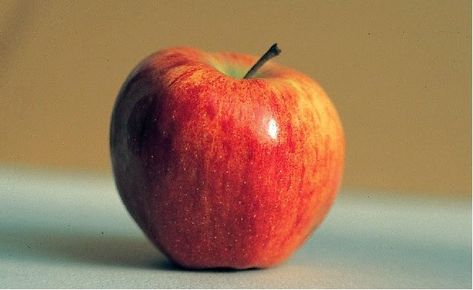 Apple Reference, Vegetables Drawing, Apple Still Life, Dna Artwork, Photo Still Life, Pear Painting, Apple Photography, Apple Picture, Apples Photography