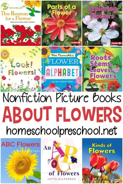 Looking for some teaching tools for your flower lesson plans? Start with these nonfiction books about flowers for preschoolers! Flower Lesson Plans, Flowers For Preschoolers, Books About Flowers, Books For Preschool, Nonfiction Books For Kids, Plant Lessons, Preschool Garden, Sequencing Cards, Spring Preschool