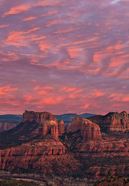 Sedona Sunset, Coconino National Forest, Cathedral Rock, Zhangjiajie, Vintage Arizona, Have Inspiration, Arizona Travel, Red Rocks, Sedona Arizona