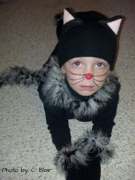 Homemade cat costume. Sew felt ears on beanie, feather boa around wrist, neck, and along a hanger for tail. Glue hanger to sweatshirt. Boy Cat Costume, Homemade Cat Costume, Cat Crafts Preschool, Cats Costume, Cat Costume Kids, Cat Diy Crafts, Cat Costume Diy, Ideas For Cats, Sew Felt