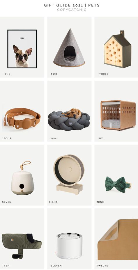 Gift Guides 2021 | Pets - copycatchic Pet Set Up, Aesthetic Cat Products, Dog Product Packaging, Pet Products Packaging, Pet Packaging Design Boxes, Pet Merchandise, Sustainable Dog Products, Eco Friendly Dog Products, Rainbow Spaghetti