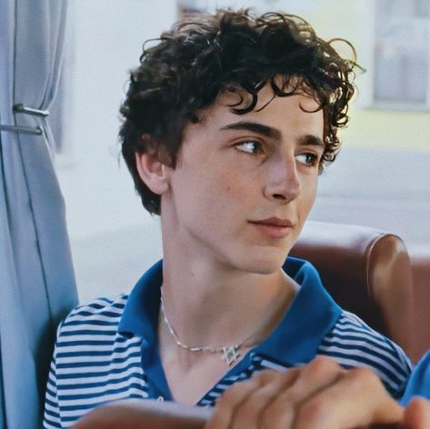 Curly Hair Celebrities, Somewhere In Northern Italy 1983, Call Me By Your Name, Timmy T, Sabrina Spellman, Timothee Chalamet, Celebrities Male, Celebrity Crush, Your Name