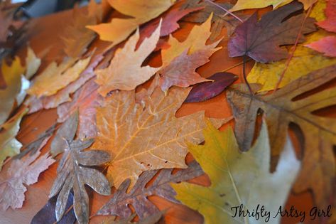 Waxed Leaves, Preserve Fall Leaves, Leaf Ideas, Homeschool Adventures, Leaves Craft, Easy Diy Fall Decor, Mesh Garland, Deco Mesh Garland, Thanksgiving Decorating