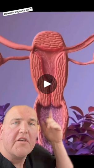 1.3M views · 17K reactions | How does pregnancy start? This is how most of us got brought into the world. #womenshealth #menshealth #anatomy #babies | Scibodytherapy | Scibodytherapy · Original audio Pregnancy Anatomy, Pregnancy Care, Men’s Health, Womens Health, Anatomy, Audio, Bring It On, The World, The Originals