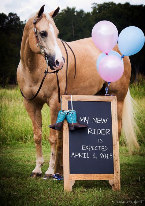 Horse baby announcement Shooting Couple, Pictures With Horses, Baby Announcement Pictures, Baby Fotografie, Western Babies, Foto Baby, Baby Gender Reveal, Reveal Ideas, Baby Reveal