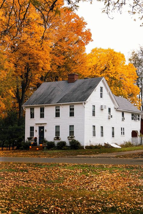 New England Fall Photography, Old New England Farmhouse, New England Countryside, New England House Aesthetic, Fall In Nantucket, Fall Connecticut, Fall Massachusetts, Nantucket Fall, Connecticut Fall