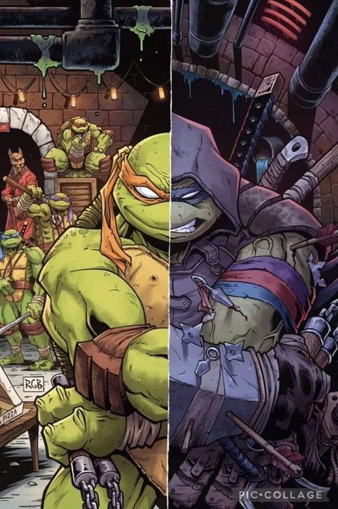 The Last Ronin Tmnt, Tmnt Last Ronin, Tmnt The Last Ronin, Rabbit Samurai, Ninja Turtles Comic, The Last Ronin, Tmnt Wallpaper, Shell Shock, Sale Ideas