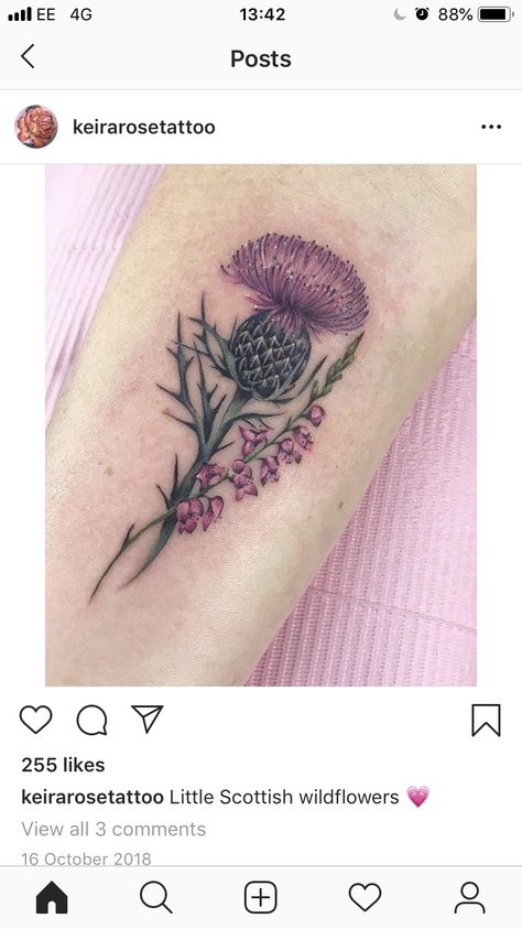 Outlander Dragonfly Tattoo, Scottish Thistle And Heather Tattoo, Thistle And Heather Tattoo, Scottish Thistle Tattoo Delicate, Scottish Heather Tattoo, Scottish Tattoos For Women, Thistle Tattoos, Heather Tattoo, Tattoo Irish