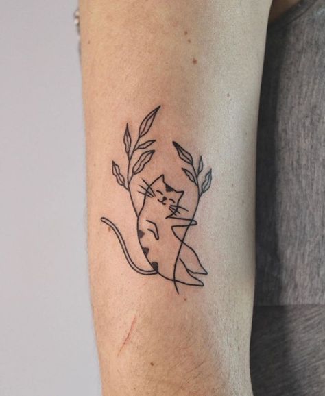 Plant Cat Tattoo, Cat Stick And Poke Tattoo, Silly Cat Tattoo, Fluffy Cat Tattoo, Calico Cat Tattoo, Tuxedo Cat Tattoo, Teddy Tattoo, Simple Cat Tattoo, Spanish Tattoos