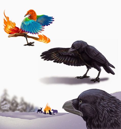 The New BigMamaBlaze Blog Crows And Ravens, Crow Feather, Creation Myth, Creation Story, Freezing Cold, Four Legged, Natural World, Beautiful Creatures, Bald Eagle