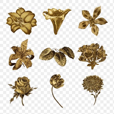 Vintage gold flower illustration set | free image by rawpixel.com / Aom Woraluck Gold Stickers Printable, Leaf Sticker, Gold Png, Gold Clipart, Gold Printable, Vintage Clipart, About China, Scrapbook Clipart, Flower Outline