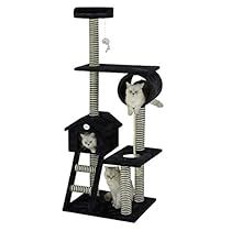 Black Cat Tree, Cat Things, Cat Tree Condo, Cat Activity, Cat Trees, Cat Shelves, Sisal Rope, Black And White Tree, Cat Condo