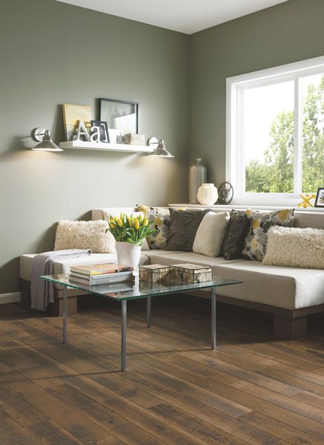 Brown Laminate Flooring, Brown Laminate, Best Laminate, Armstrong Flooring, Living Interior, Green Walls, Radiant Orchid, Flooring Store, Home Color