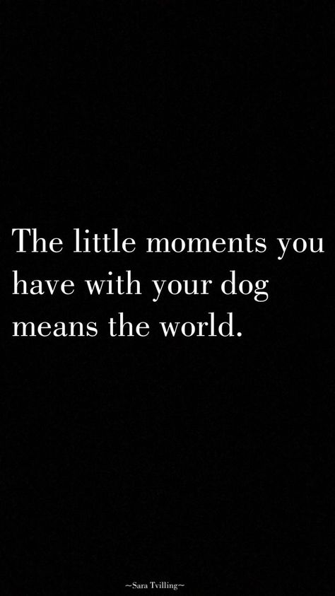 The little moments you have with your dog means the world Girl And Her Dog Quotes, A Girl And Her Dog Quotes, Citation Nature, A Girl And Her Dog, Dog Mom Quotes, Girl And Her Dog, Dog Quotes Love, E Mc2, Dog Rules