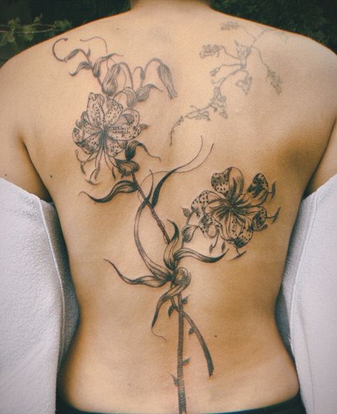 🌸full back tiger lilies🌸 • Will I ever escape lilies? 🙂‍↔️ never ! • Ty Jo for your trust and patience on this project! Peeped a healed trailing vine I did for her first tattoo last year • I love it when people come back to me :') • Note: I've been trying out disposable and film cameras for my feed aesthetic , then I add the original photo later in the carousel ! (That's why she looks a little lighter in the first photo) •••••••••• #backtattoos #floraltattoos #lilies #tigerlily #blacktattoo... Tiger Lily Drawing Tattoo Ideas, Lilies Back Tattoo, Tiger Lilies Tattoo, Lily Tattoo Back, Lily Back Tattoo, Tiger Lily Tattoo, Lilies Tattoo, Lilly Tattoo, Tiger Lily Tattoos