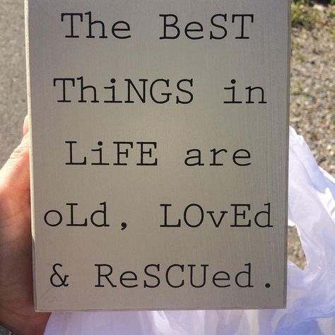 Quote about antiquing, thrifting, flea market finds, upcycling, restoration. Junking Quotes, Thrifting Quotes, Antique Quotes, Rehab Addict, Nicole Curtis, Flea Market Flip, Shopping Quotes, Vintage Quotes, Op Shop