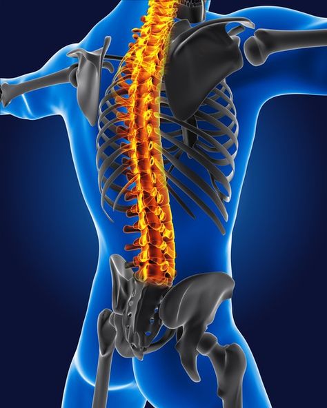 Spinal Exercises, Neck Bones, Bone Diseases, Spine Surgery, Medical Background, Holistic Therapies, Poor Posture, Spinal Cord, Core Strength