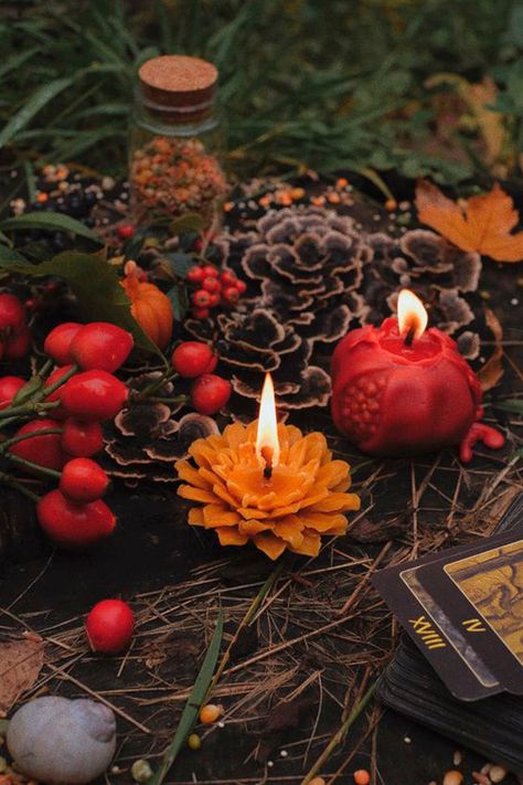 Mabon Aesthetic Wallpaper, Nh Aesthetic, Mabon Aesthetic, Pagan Autumn, Desert Witch, Festive Wallpaper, Candle Witchcraft, Green Witch Aesthetic, Pagan Christmas