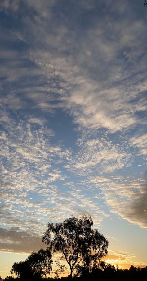 Aesthetic Sky Clouds, Office Prank, Evening Wallpaper, Australia Wallpaper, Blue Sky Wallpaper, Sunrise Wallpaper, Salon Pictures, Sunrise Pictures, Beach At Night