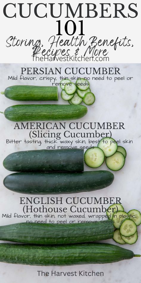 Recipes With Cucumbers, Cucumber Snack, Cucumber Health Benefits, Cucumber Varieties, Cucumber Gardening, Cucumber Detox Water, Japanese Cucumber, Cucumber Benefits, Cucumber Canning