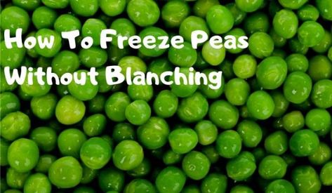 How To Freeze Peas Without Blanching | Growing Guides Freezing Peas From Garden, How To Freeze Peas From The Garden, How To Freeze Peas, Freezing Peas, Freezing Produce, Freeze Veggies, Freeze Food, Freezing Vegetables, Freezing Food