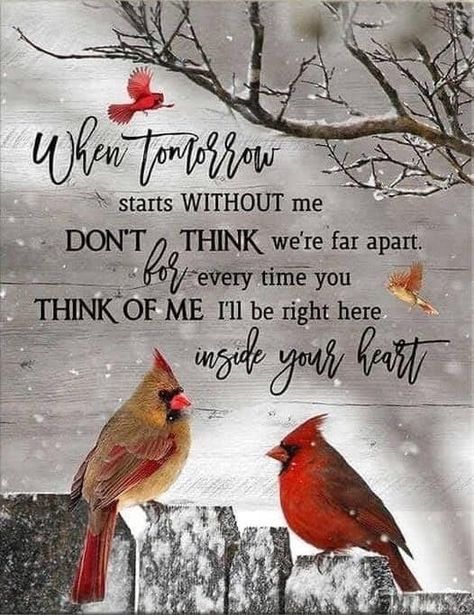 Cardinal Fans Lover When Tomorrow Starts, Losing A Loved One Quotes, Mom In Heaven Quotes, Miss You Mom Quotes, Heaven Poems, Mom I Miss You, Love You Poems, Memory Quotes, In Loving Memory Quotes