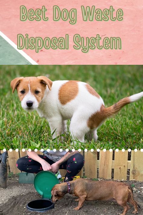 Picking up your dog's waste is only half the battle when it comes down to the nitty gritty. You have to find out where you can store this waste. If you just dump the dog waste into the trash you will experience the strong stench of dog waste. In addition if your trash can is outside it can attract flys and other bugs. These 6 chosen systems have proven to be the best alternative to disposing of your dog's waste. #DogPoop #DogWaste #DogAccessories #DogBackyard #CutePuppies #DogLovers Dog Waste Composter, Dog Poop Area, Dog Run Side Yard, Dog Waste Disposal, Diy Dog Run, Backyard Dog Area, Dog Potty Area, Dog Waste Station, Pet Waste Station